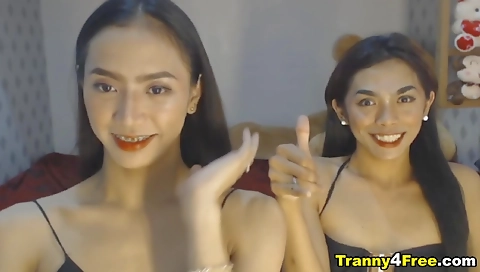 Asian tranny sucks her phallus like a pro and gets it